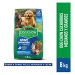 Alimento-Seco-Dog-Chow-Cachorro-Medianos-y-Grandes-8Kg-1-263033