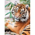 Rompecabezas-1000-Sumatran-Tiger-Square-Box-2-265437