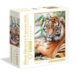 Rompecabezas-1000-Sumatran-Tiger-Square-Box-1-265437
