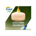 Jab-n-en-Barra-Protex-Limpieza-Profunda-3x-110g-2-18772