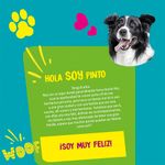 Pet-Care-Toallitas-H-medas-para-Mascotas-Aroma-Lim-n-Paquete-50-unid-5-71932