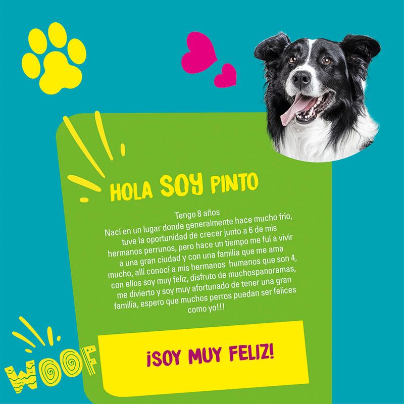 Pet-Care-Toallitas-H-medas-para-Mascotas-Aroma-Lim-n-Paquete-50-unid-5-71932