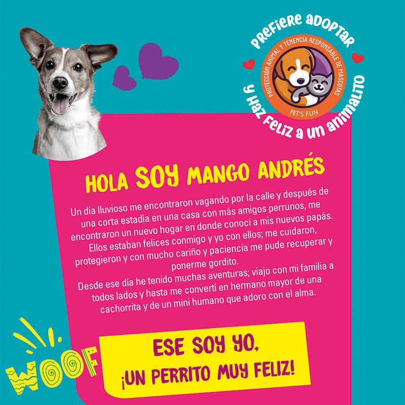 Casa-para-Perro-Pet-s-Fun-Care-Rundy-Talla-M-Azul-3-85241