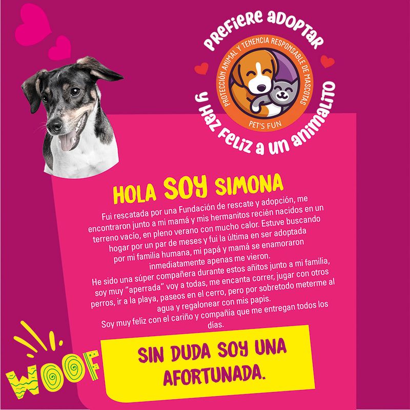 Limpiador-de-Patitas-Pet-s-Fun-Care-Talla-L-4-67865