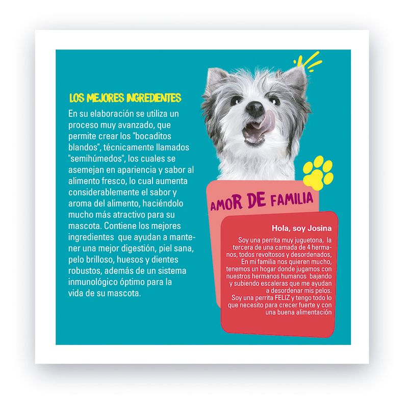 Alimento-para-Perros-Cachorro-Pet-s-Fun-Cereales-Pollo-y-Carne-3kg-4-162676