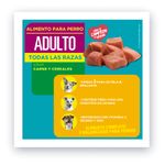 Alimento-para-Perros-Adulto-Pet-s-Fun-Cereales-y-Carne-3kg-2-162677