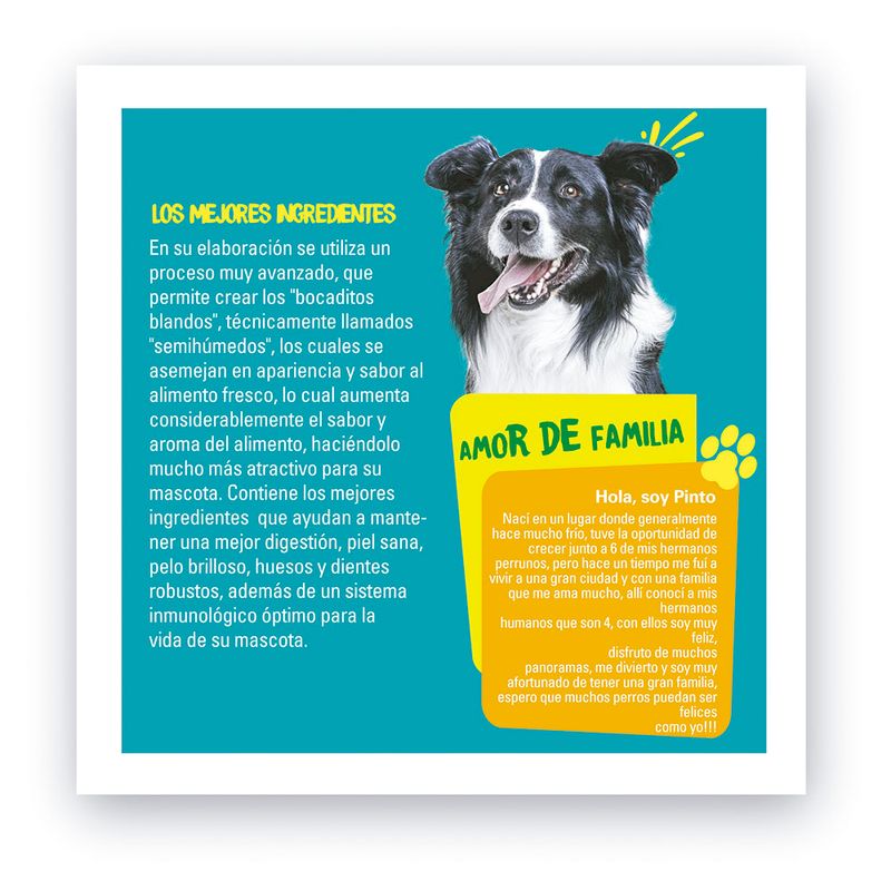 Alimento-para-Perros-Adulto-Pet-s-Fun-Cereales-y-Carne-3kg-4-162677