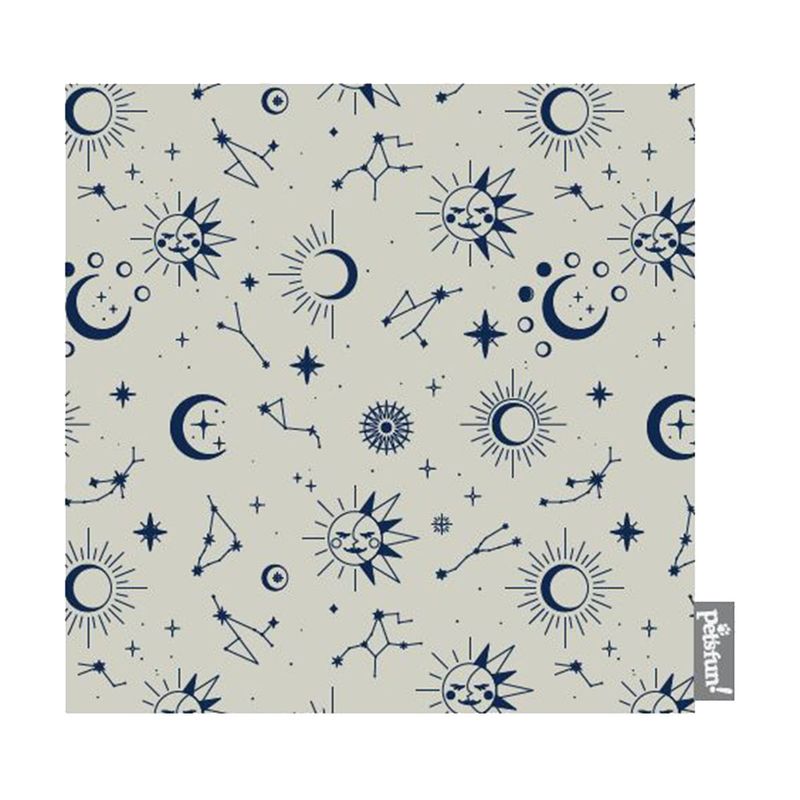 COJIN-ESTAMPADO-ASTROS-1-262489