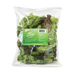 Mix-de-Lechuga-Crespa-Ecologic-250g-1-128131