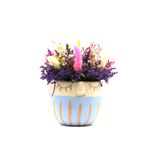 Macetitas-Coquette-450g-2-258139