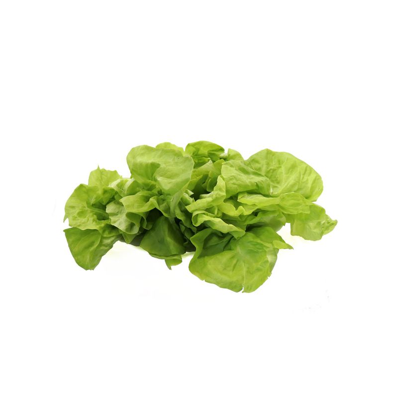 Lechuga-de-Seda-Ecologic-3-265544