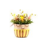 Macetitas-Coquette-450g-1-258139