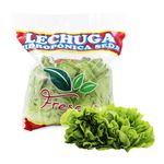 Lechuga-de-Seda-Hidrop-nica-Frescas-x-un-1-92085