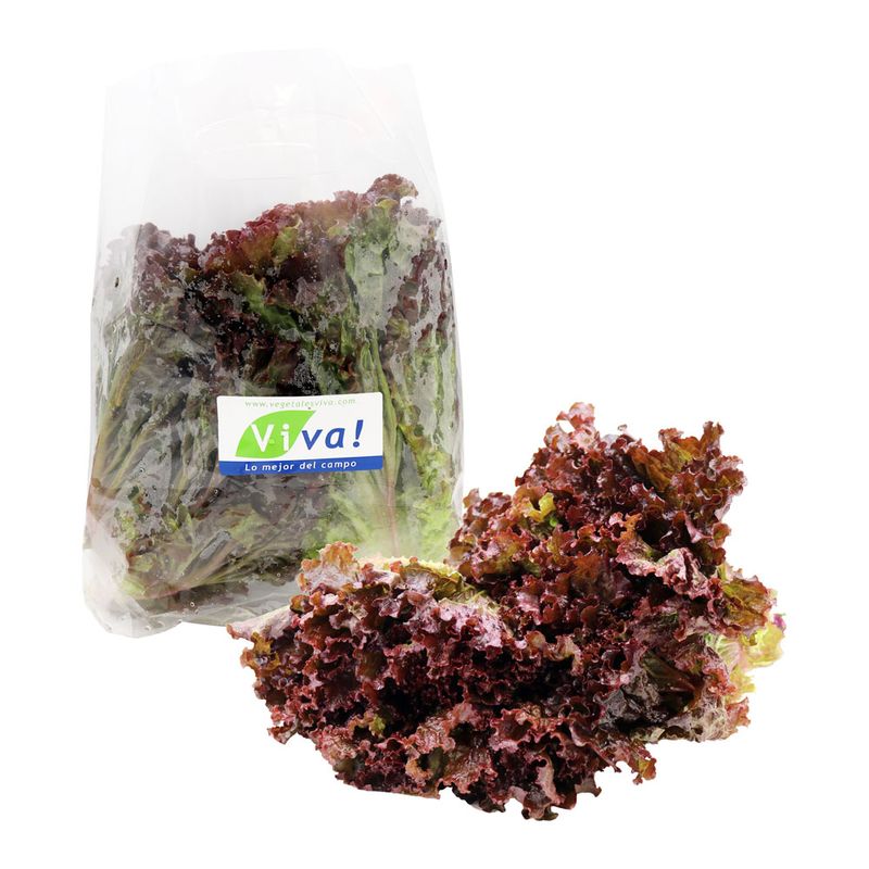 Lechuga-Crespa-Roja-Viva-1-92607
