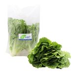 Lechuga-Romana-Viva-300g-1-92611