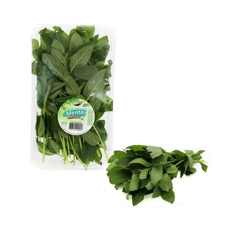 Menta-Fresca-Ecologic-30g-1-92148