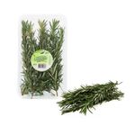 Romero-Fresco-Ecologic-30g-1-92152