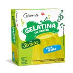 Gelatina-Sin-Az-car-Cuisine-Co-Sabor-Pi-a-19g-1-262912