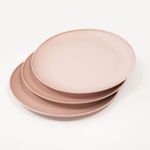Pack-x3-Plato-Tendido-Reyplast-Qoni-2-261816