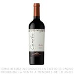 Vino-Tinto-Malbec-Camila-Botella-750ml-1-246455