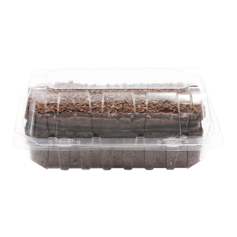 Torta-Rectangular-Chocolate-7-Porciones-2-264807