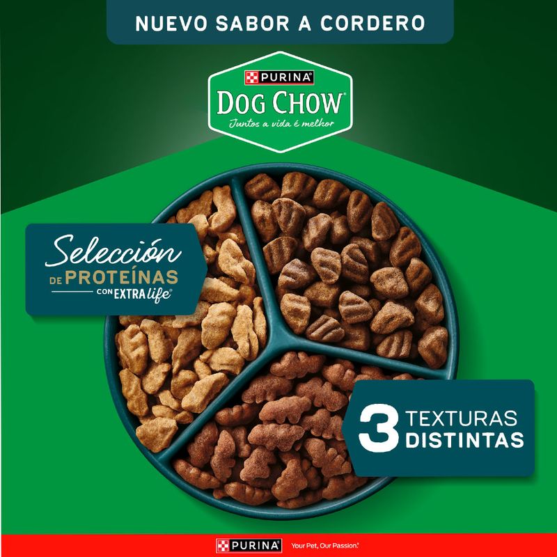 Alimento-de-Perro-Dog-Chow-Sabor-Cordero-2kg-2-267648