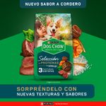 Alimento-de-Perro-Dog-Chow-Sabor-Cordero-2kg-3-267648