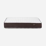 Colch-n-2-Plazas-Rosen-Ergo-T-New-2-Plazas-2-274722