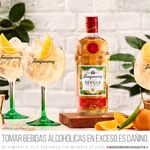 Gin-Tanqueray-Flor-de-Sevilla-Botella-700ml-Fourpack-Agua-T-nica-Britvic-Lata-150ml-2-248557