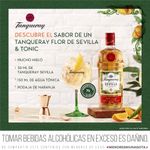 Gin-Tanqueray-Flor-de-Sevilla-Botella-700ml-Fourpack-Agua-T-nica-Britvic-Lata-150ml-3-248557