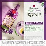 Gin-Tanqueray-Dark-Berry-Royale-Botella-700ml-Fourpack-Agua-T-nica-Britvic-Lata-150ml-2-248552