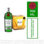 Gin Tanqueray London Dry Botella 700ml + Fourpack Agua Tónica Britvic Lata 150ml