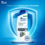 Shampoo-Head-Shoulders-Purificaci-n-Capilar-375ml-2-23806