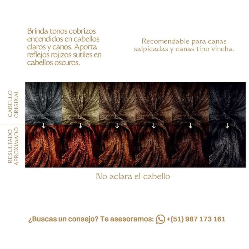 Tinte-para-Cabello-Org-nico-F-tima-mbar-100g-2-262916