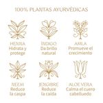 Tinte-para-Cabello-Org-nico-F-tima-Almendra-100g-3-262917