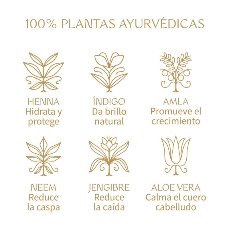 Tinte-para-Cabello-Org-nico-F-tima-Tierra-100g-3-262918
