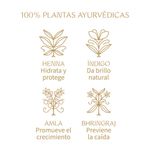 Tinte-para-Cabello-Org-nico-F-tima-bano-200g-3-262914