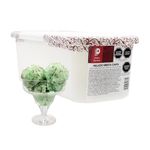 Helado-Menta-Chips-Dulce-Pasi-n-5L-1-262358