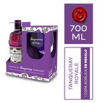 Gin-Tanqueray-Dark-Berry-Royale-Botella-700ml-Copa-Acr-lico-2-244311