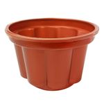 Vaso-Olego-4-Gold-Rose-1-253961