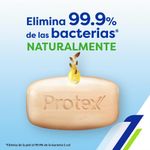 Tripack-Jab-n-en-Barra-Protex-Nutri-Protect-Macadamia-110g-3-21160