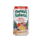 Jugo-de-Frutas-Florida-s-Premium-Fruit-Splash-Lata-340ml-1-259229