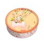 Galletas-Danesas-Pretty-in-Orange-Lata-340g-Surtido-3-127550