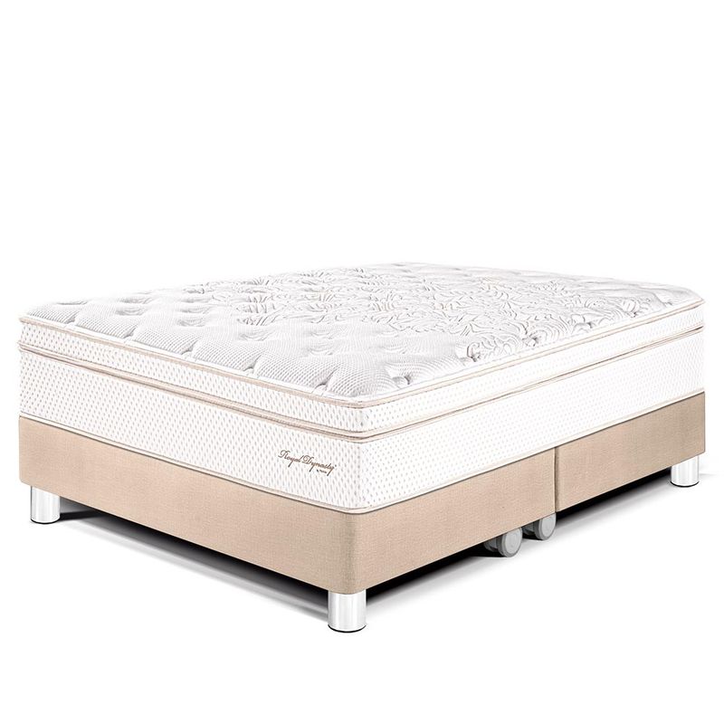 Cama-Royal-Dynasty-King-Champagne-CAMA-ROYAL-DYNASTY-KING-CHAMPAGNE-2-274092
