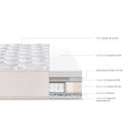 Colch-n-Royal-Elizabeth-1-5-Plaza-3-256141