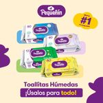 Toallitas-H-medas-Peque-n-Multi-Cuidado-80un-4-245814