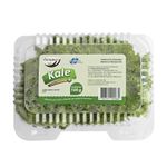 Kale-Ecologic-100g-1-286384