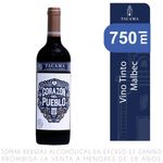 Vino-Tinto-Malbec-Tacama-Alianza-Lima-Botella-750ml-1-289555