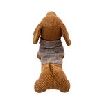 TOPE-PUERTA-DOG-CHALECO-4-281369