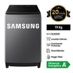 Lavadora Samsung Wa19Cg6441Bdpe 19Kg Gris